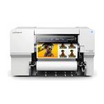Eco-Solvent and Sublimation Printers